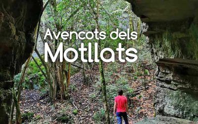 Avencots dels Motllats y Avencs de la Febró