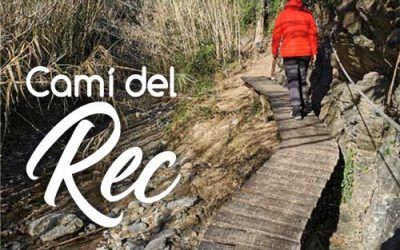 Camí del rec – La Selva del Camp