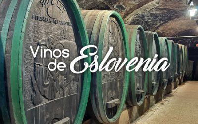 Eslovenia, tierra de vinos