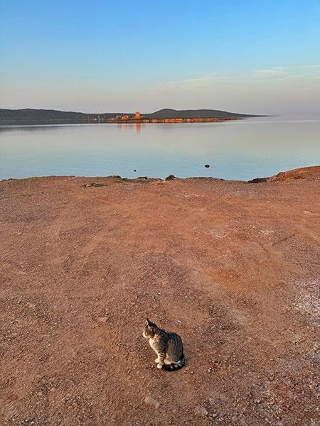 Parque Natural de las isla de Ayvalik