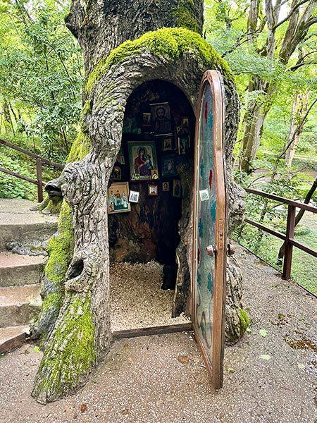 Capilla en un árbol y jardín botánico