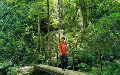 Parque Nacional Mtirala: 7 cosas que hacer