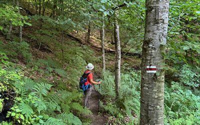 Dilijan y su Parque Nacional: 17 cosas que ver y hacer