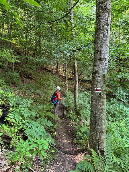 Dilijan, ideal para hacer senderismo, y disfrutar de la naturaleza