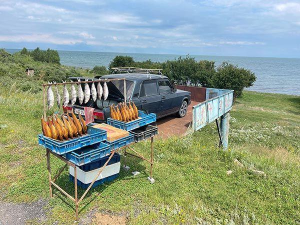 Venta de pescado en la carretera de Sevan
