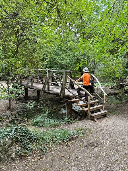 Puente de madera, cascadas de Hotnitsa, Bulgaria