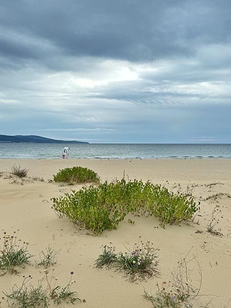Sunny Beach
