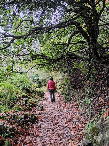 Camino del Agua