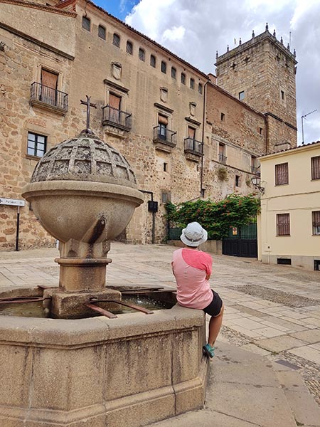 Casa de las dos Torres o de Monroy
