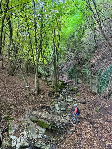 Pod Kamiko Trail