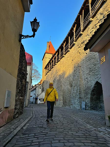 Calles del casco antiguo