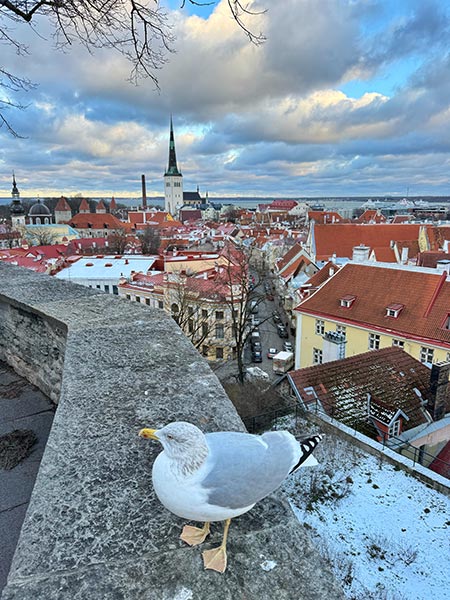 Mirador de Khotuotsa, ideal para admirar las vistas a la ciudad y al casco antiguo de Tallin