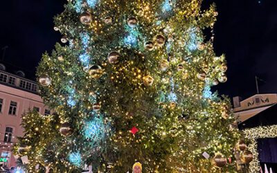 Navidad en Tallin: 10 cosas que ver y hacer