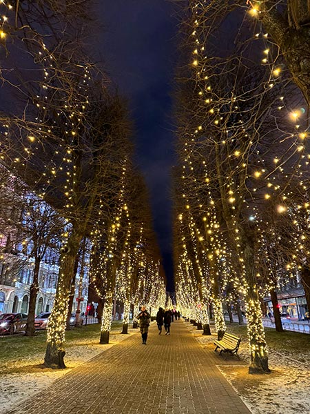 Sendero de luz en Riga, ideal para pasear rodeado de árboles llenos de luces