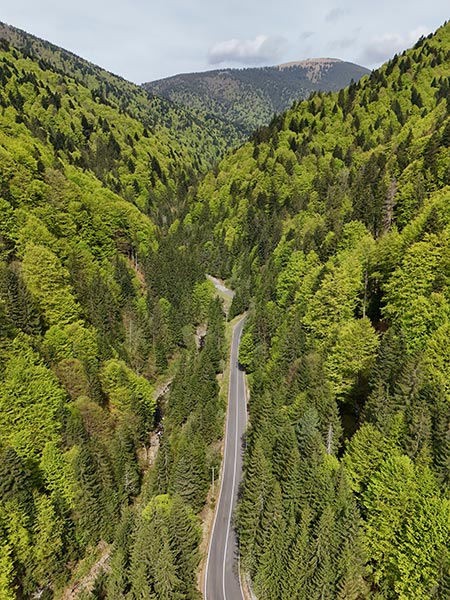 Transfâgârâsan
