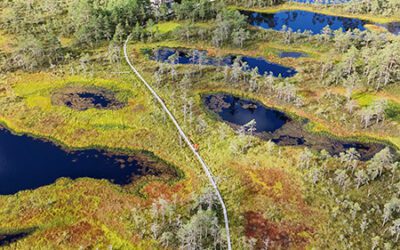 Qué ver en Estonia (guía completa): 16 lugares + mapa
