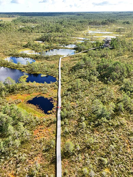 Viru Bog