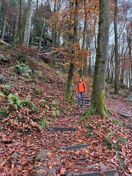Qué ver en Luxemburgo - Mullerthal, "La Pequeña Suiza"