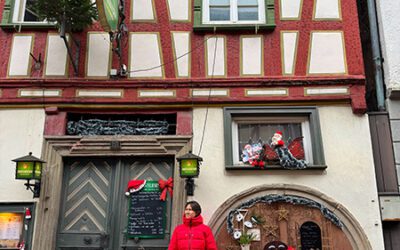 Qué ver en Bad Wimpfen (guía): 11 imprescindibles + mapa