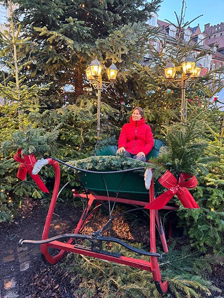 Navidad en Heidelberg
