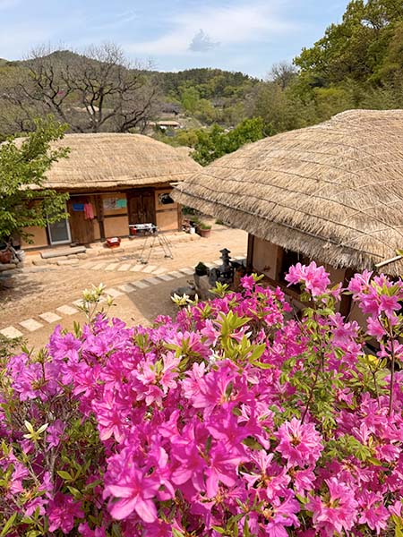 Yangdong Village