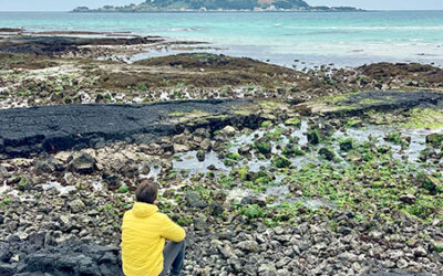 Qué ver en la isla de Jeju (guía): 30 imprescindibles + mapa