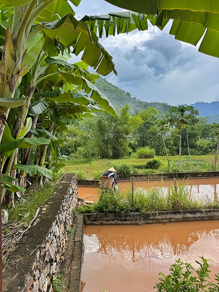 Mai Hịch, aldea cercana a Mai Chau