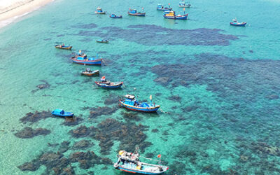 Qué ver en Quy Nhon (guía): 13 imprescindibles + mapa