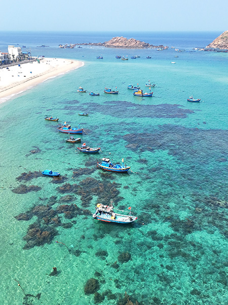 Qué ver en Quy Nhon (guía): 13 imprescindibles + mapa