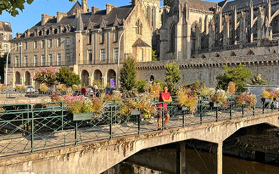 Qué ver en Quimper: 16 imprescindibles (consejos + mapa)