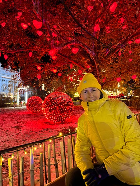 Mercado navideño de Rathausplatz