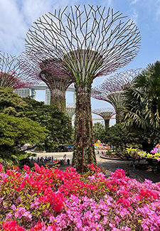 Gardens by the Bay