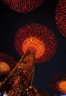 Súper árboles iluminados