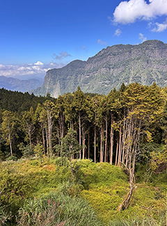 Alishan
