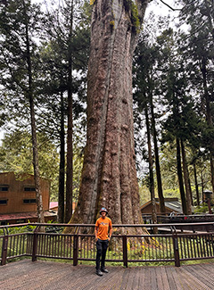 Árbol Sagrado Xianglin