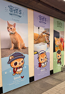 Gato Mikan, jefe de estación Ciaotou Sugar Refinery