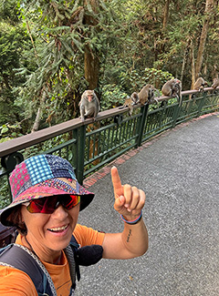 Monos en los senderos de Sun Moon Lake