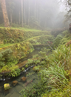 Puente Shenyi y cascada