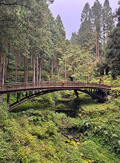 Puente por los senderos de Alishan