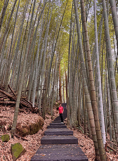 Qué ver en Alishan y Fenqihu