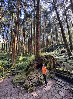 Recorriendo los senderos de Alishan
